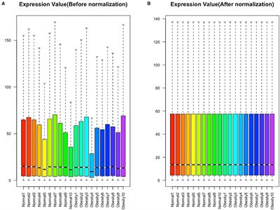 Integrated DNA Methylation and Gene Expression Analysis Identified S100A8 and S100A9 in the Pathogenesis of Obesity